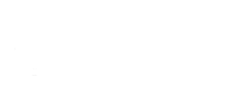 PING ALLY Logo